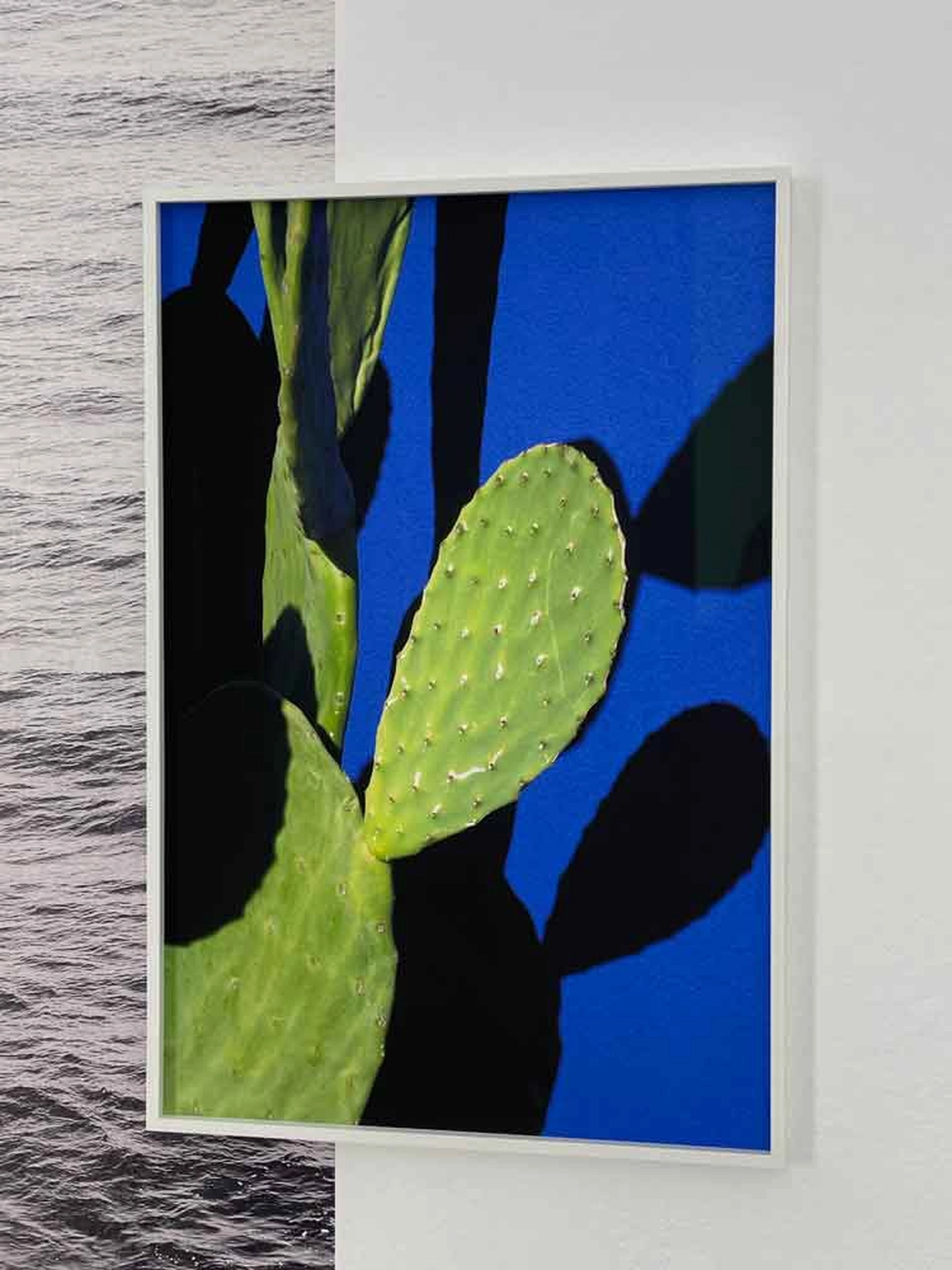 Jessica Backhaus - Fine Art Photography - Haus am Kleistpark Berlin 2023Haus am Kleistpark Berlin 2023 Photograph