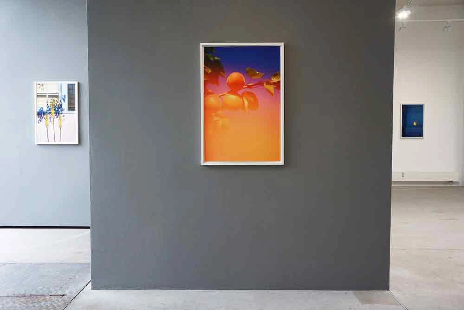 Jessica Backhaus - Fine Art Photography - Galerie Anja Knoess Cologne May 2021 Photograph