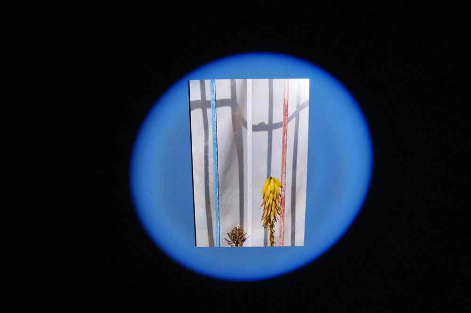 Jessica Backhaus - Fine Art Photography - Kunsthalle Erfurt 2013 Photograph