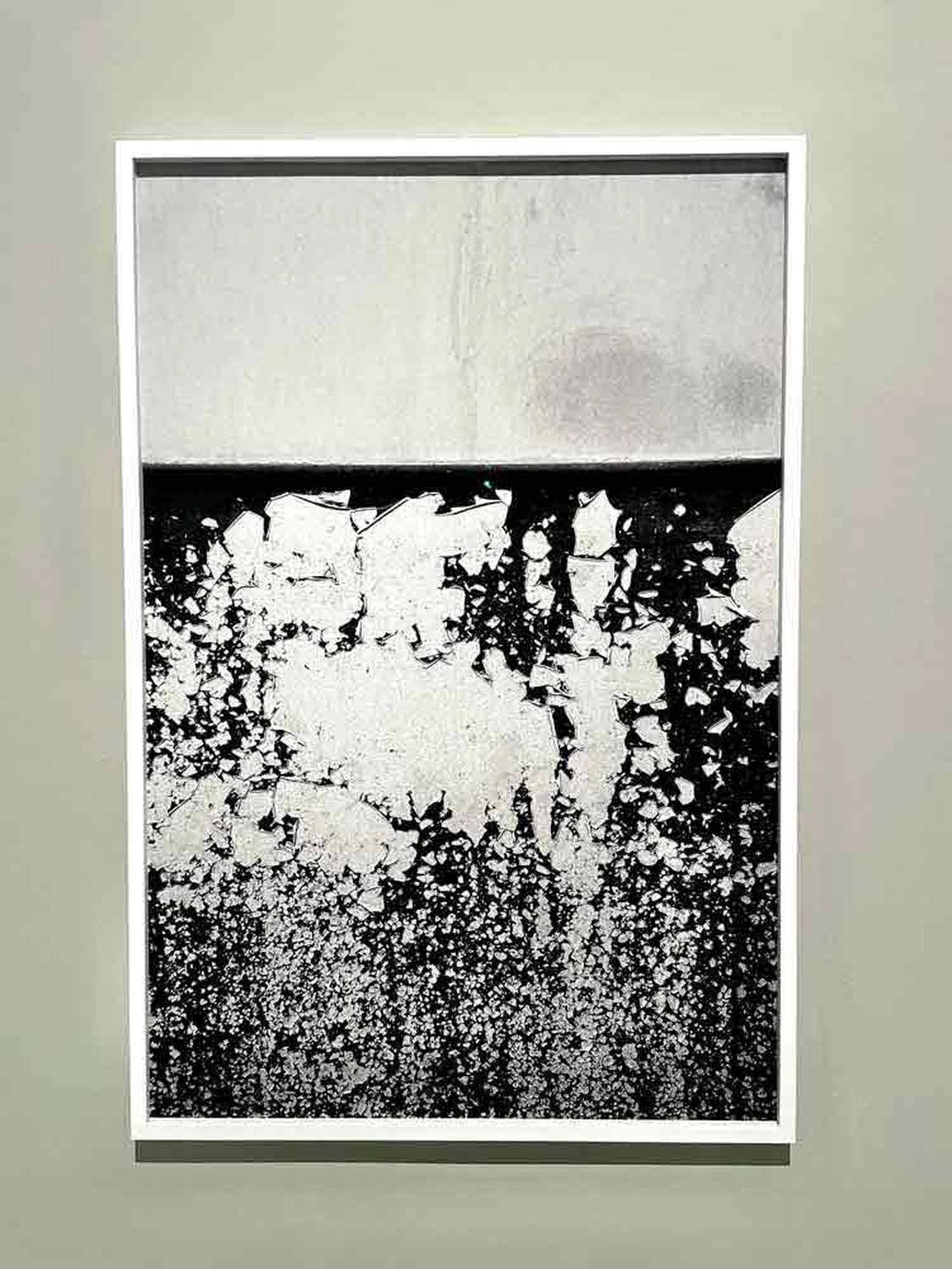 Jessica Backhaus - Fine Art Photography -  Carlos Carvalho Contemporanea Lisbon 2024 Photograp