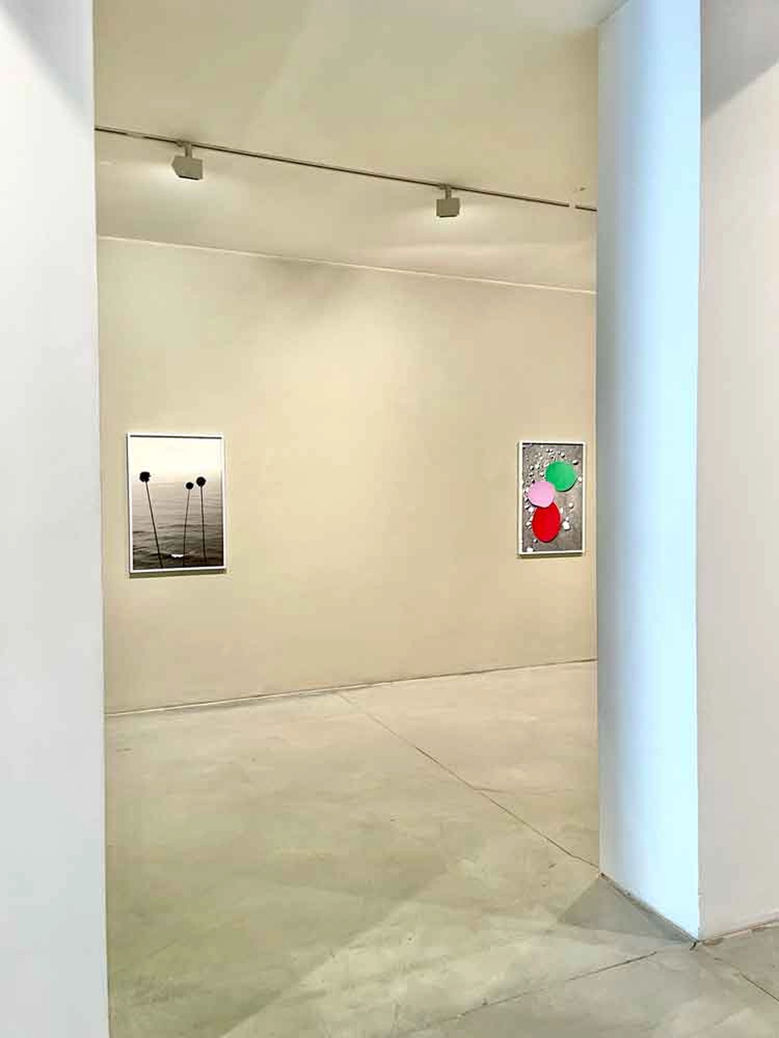Jessica Backhaus - Fine Art Photography -  Carlos Carvalho Contemporanea Lisbon 2024 Photograp