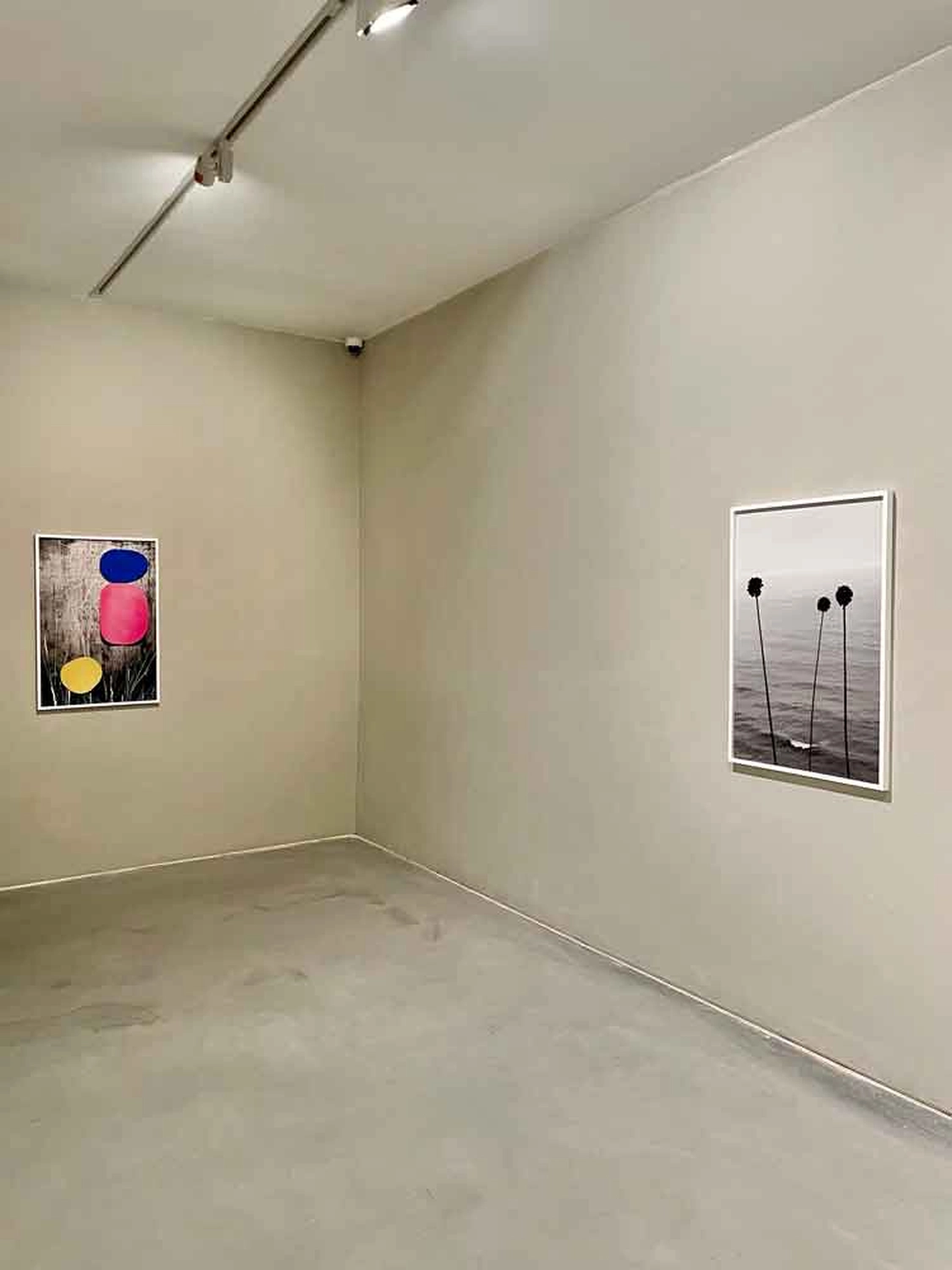 Jessica Backhaus - Fine Art Photography -  Carlos Carvalho Contemporanea Lisbon 2024 Photograp