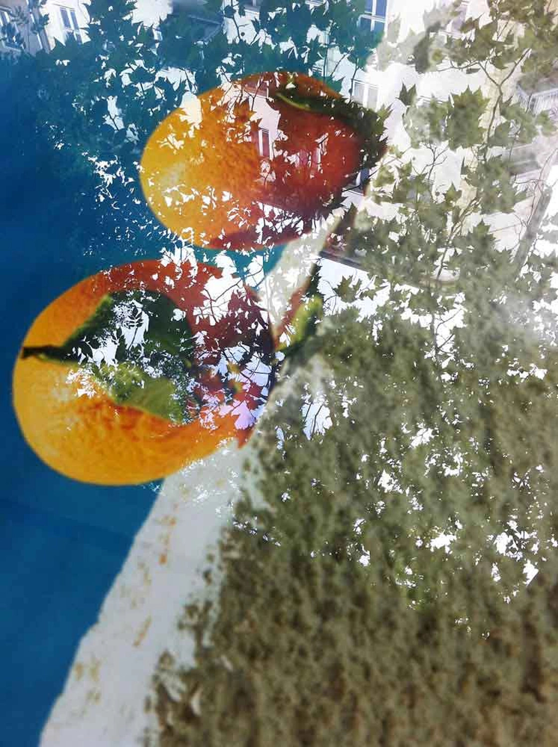 Jessica Backhaus - Fine Art Photography - Once, Still and Forever Photograph
