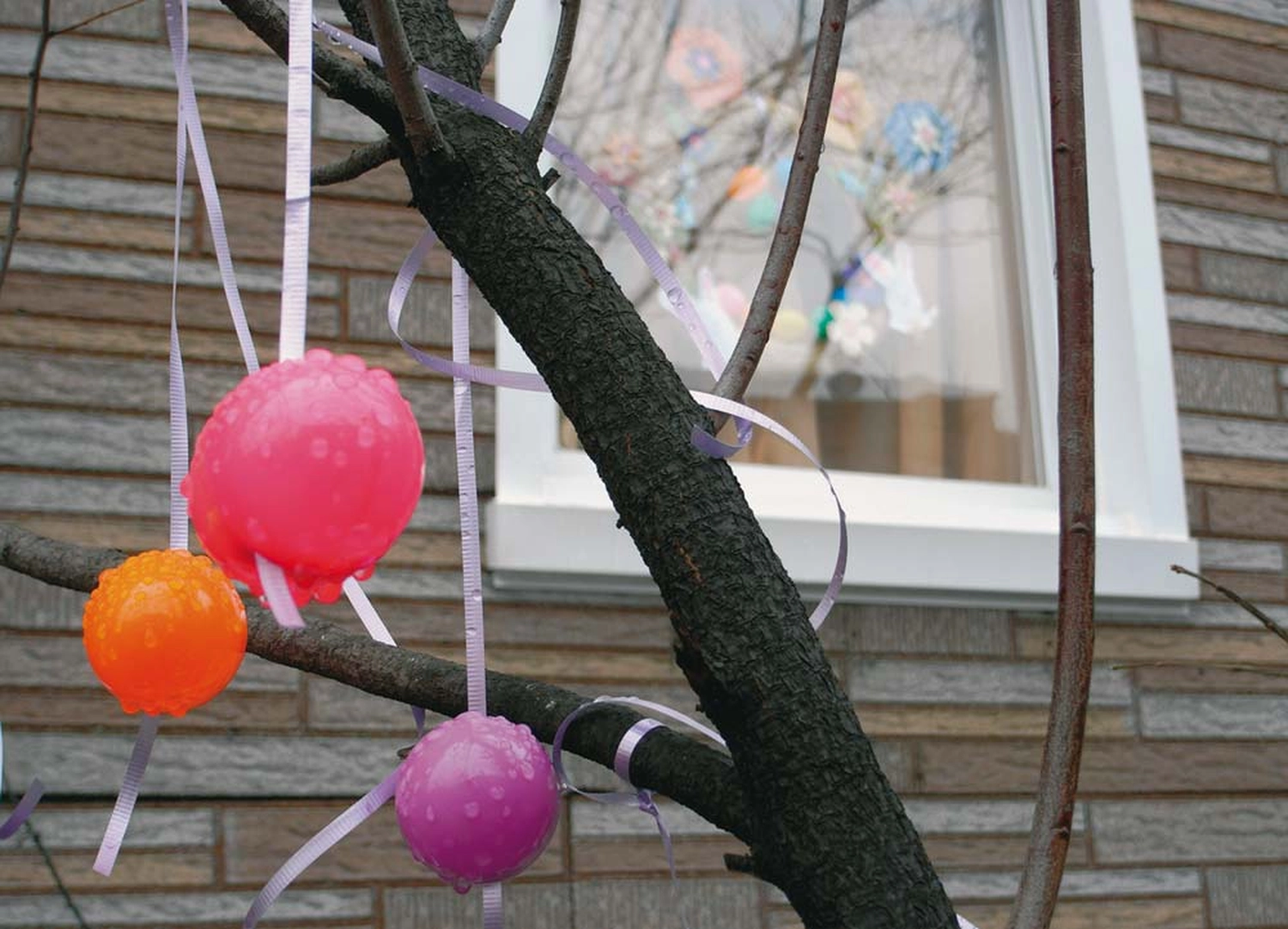 Jessica Backhaus - Fine Art Photography - One day in November Photograph