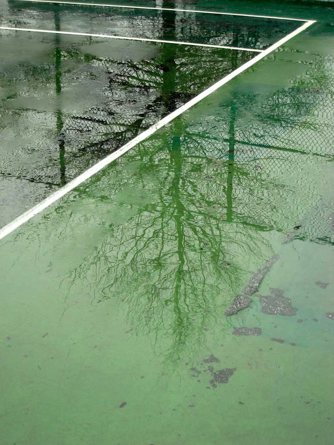 Jessica Backhaus - Fine Art Photography - One day in November Photograph