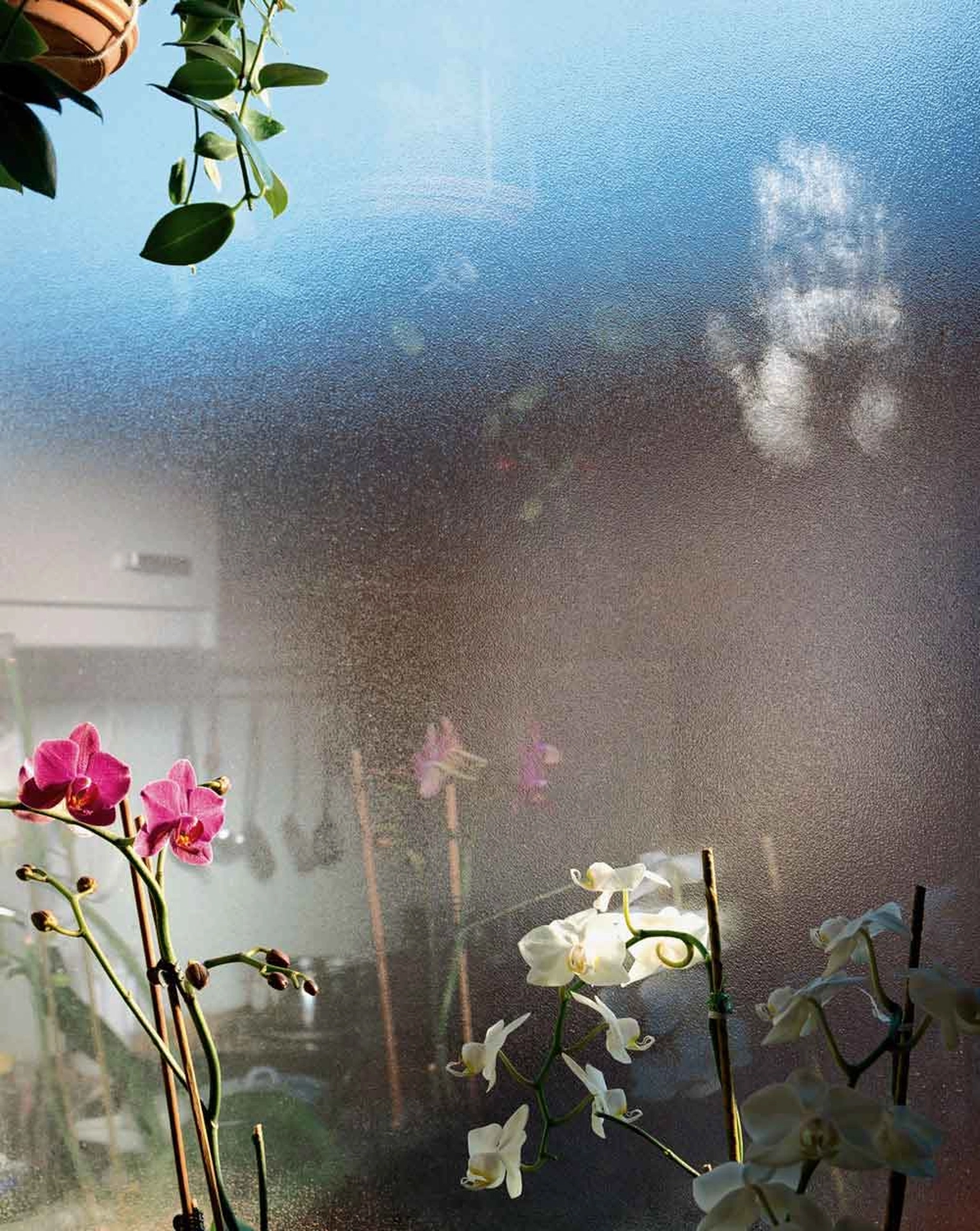 Jessica Backhaus - Fine Art Photography - What still remains Photograph