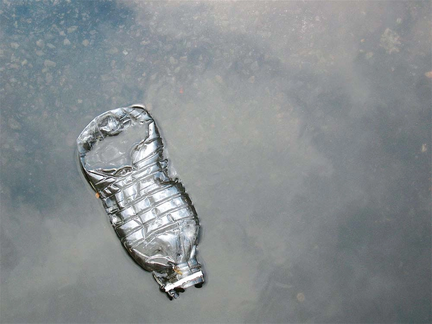 Jessica Backhaus - Fine Art Photography - What still remains Photograph