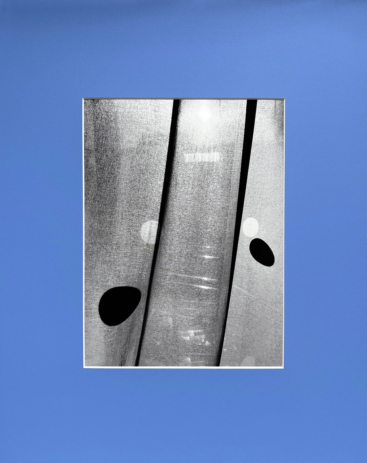 Jessica Backhaus - Fine Art Photography - The Nature of Things Photograph