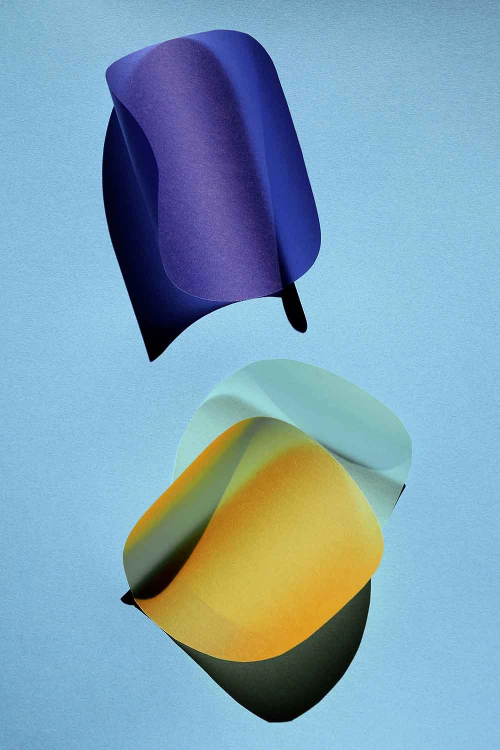 Jessica Backhaus - Fine Art Photography - cut outs Photograph