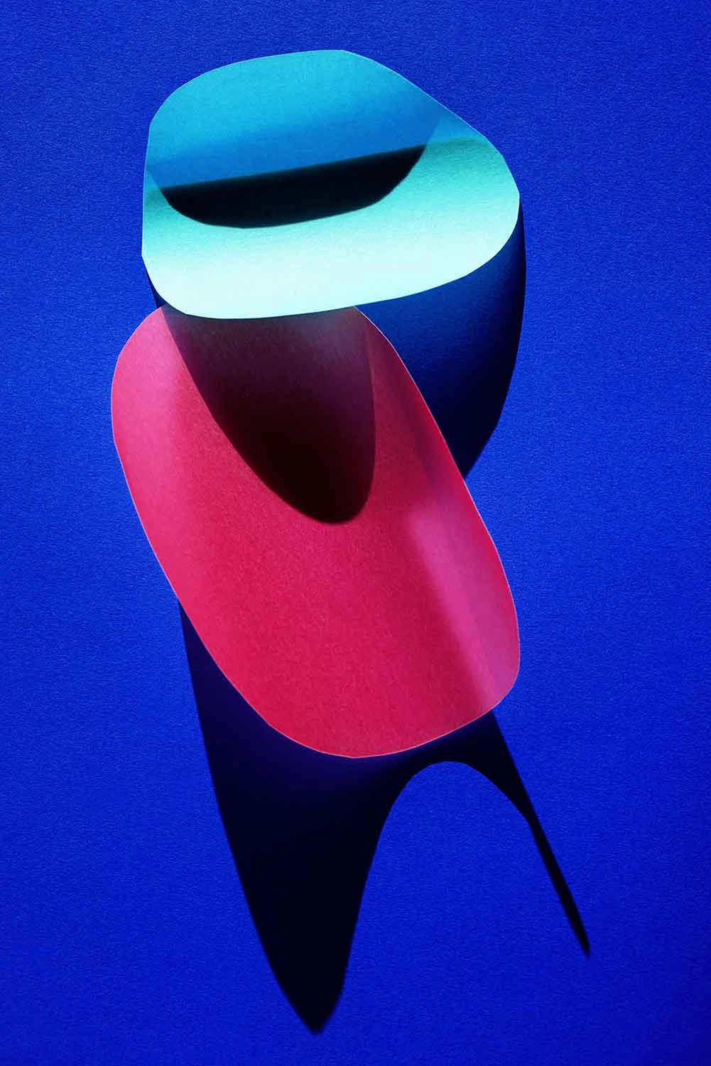 Jessica Backhaus - Fine Art Photography - cut outs Photograph