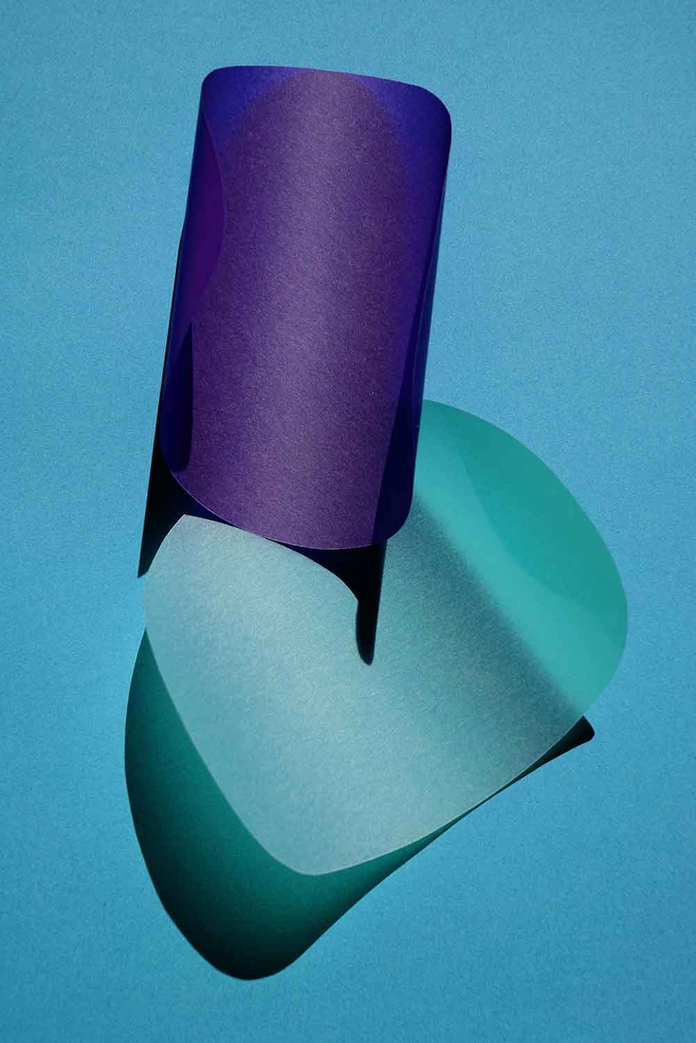 Jessica Backhaus - Fine Art Photography - cut outs Photograph