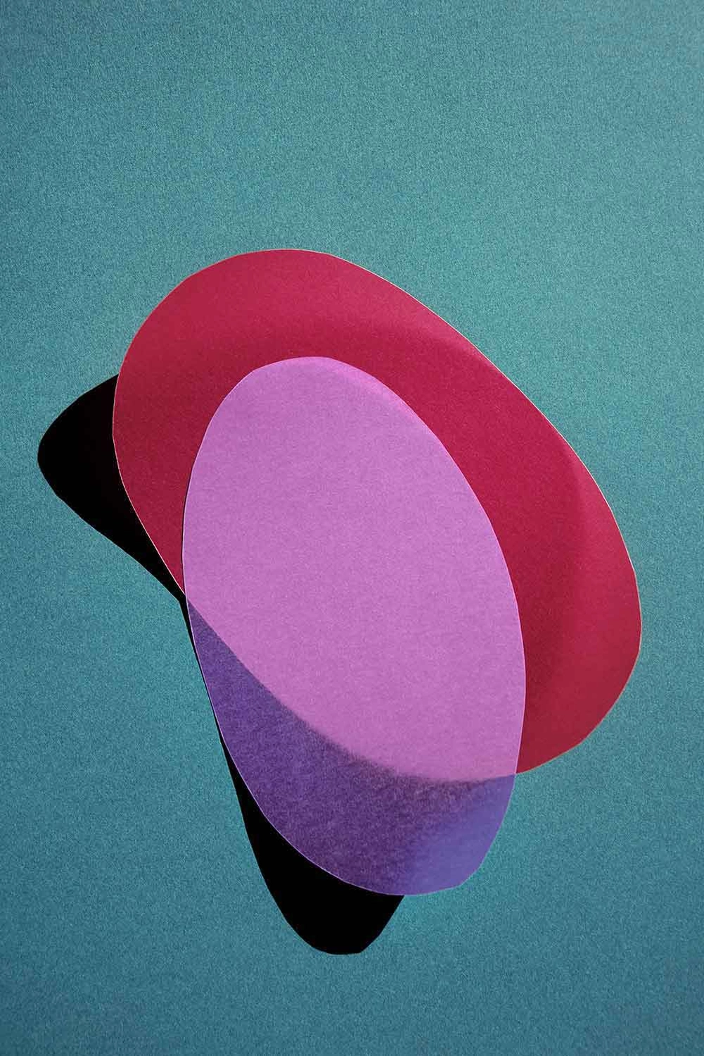 Jessica Backhaus - Fine Art Photography - cut outs Photograph