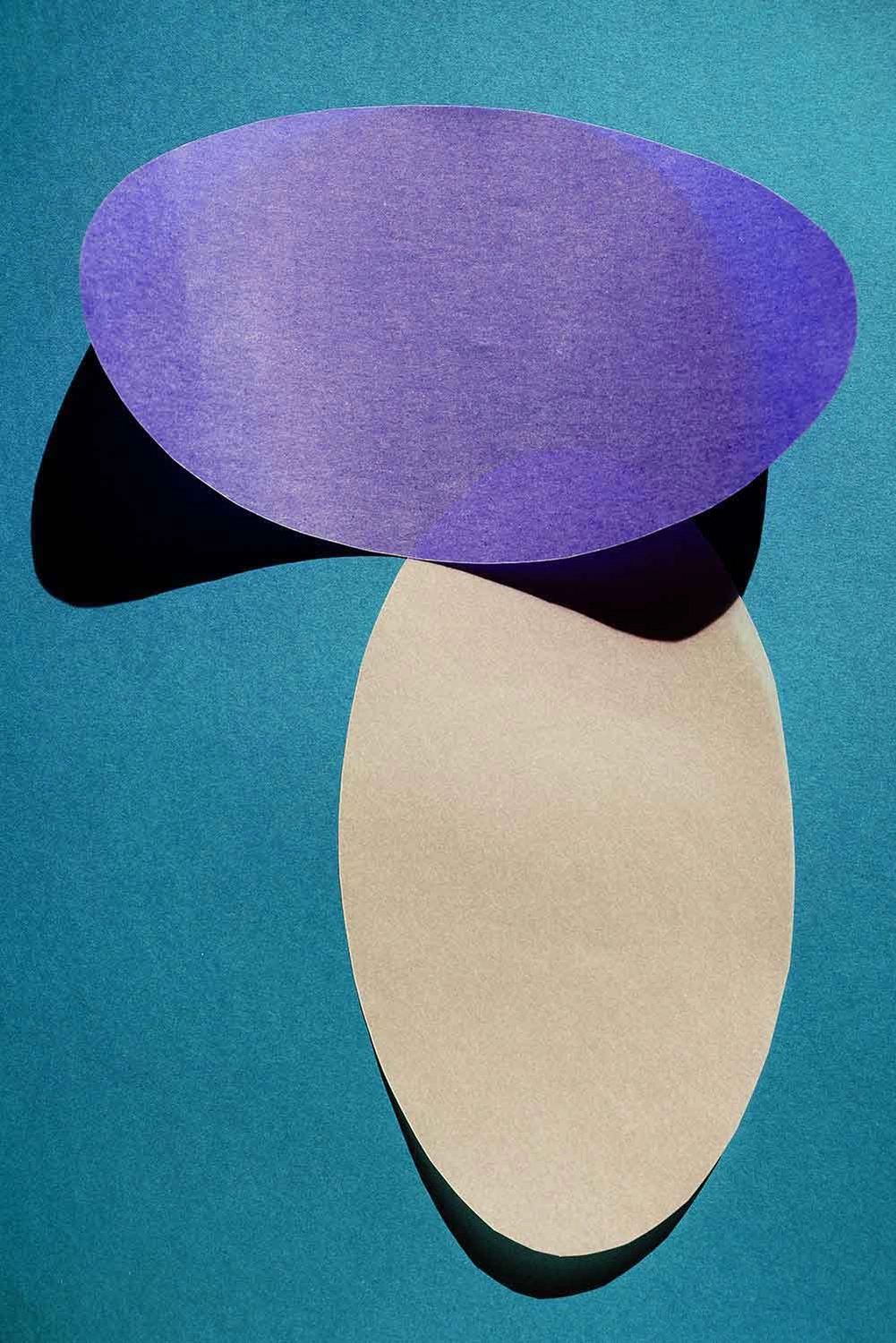 Jessica Backhaus - Fine Art Photography - cut outs Photograph