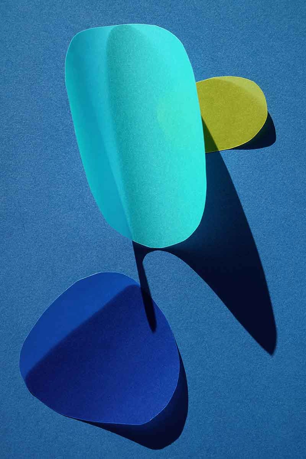 Jessica Backhaus - Fine Art Photography - cut outs Photograph