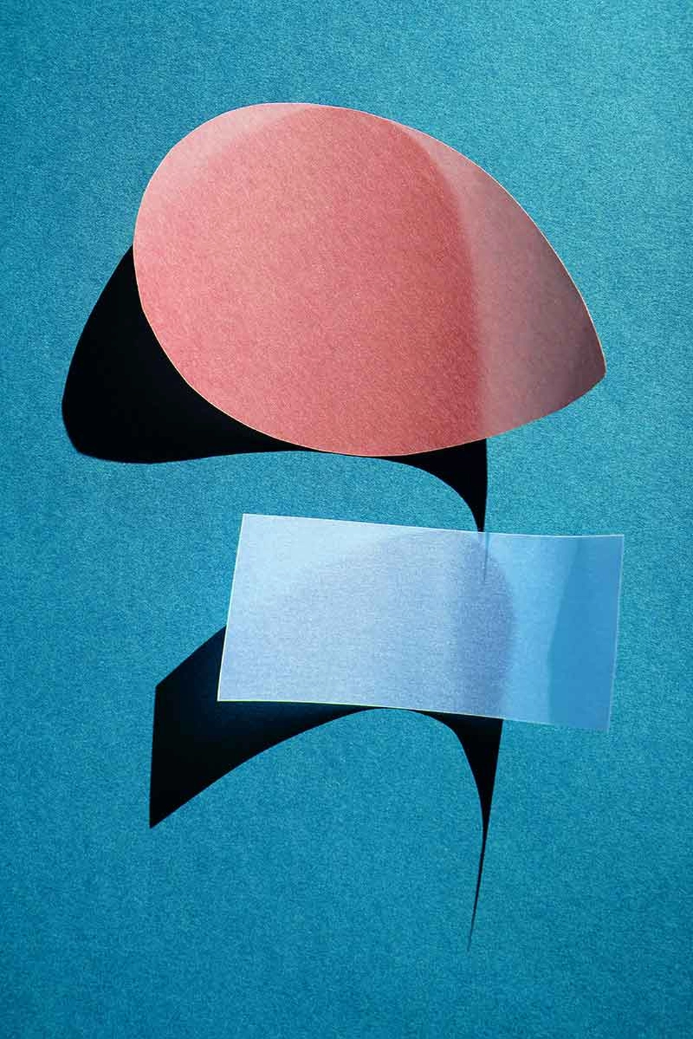 Jessica Backhaus - Fine Art Photography - cut outs Photograph