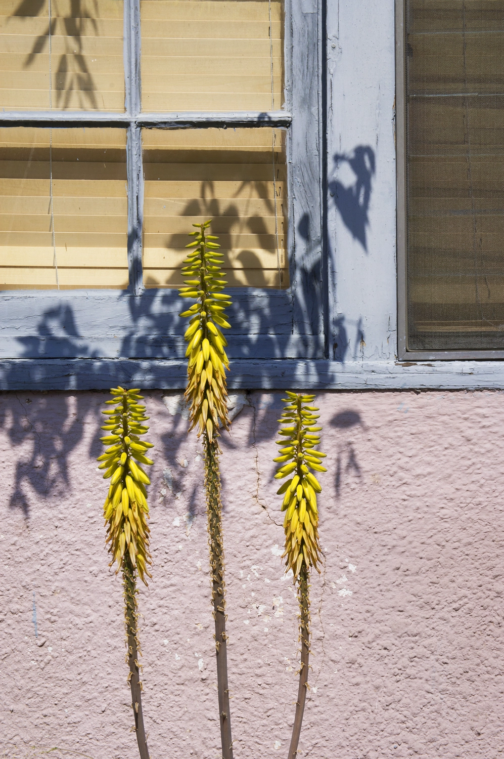 Jessica Backhaus - Fine Art Photography - Far away but close Photograph