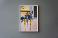 Galerie Anja Knoess Cologne May 2021