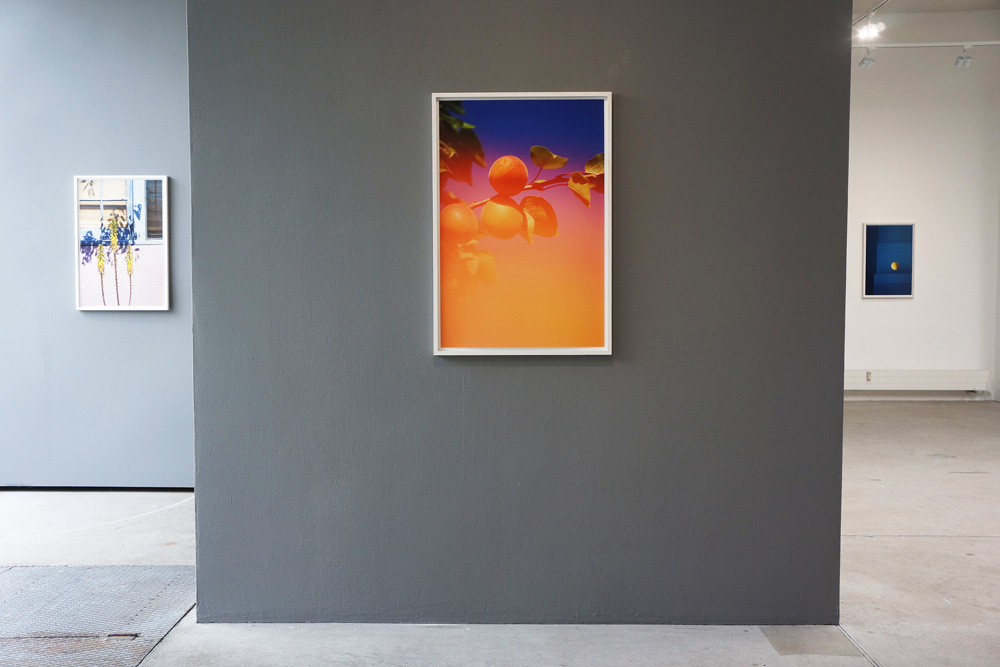 Galerie Anja Knoess Cologne May 2021