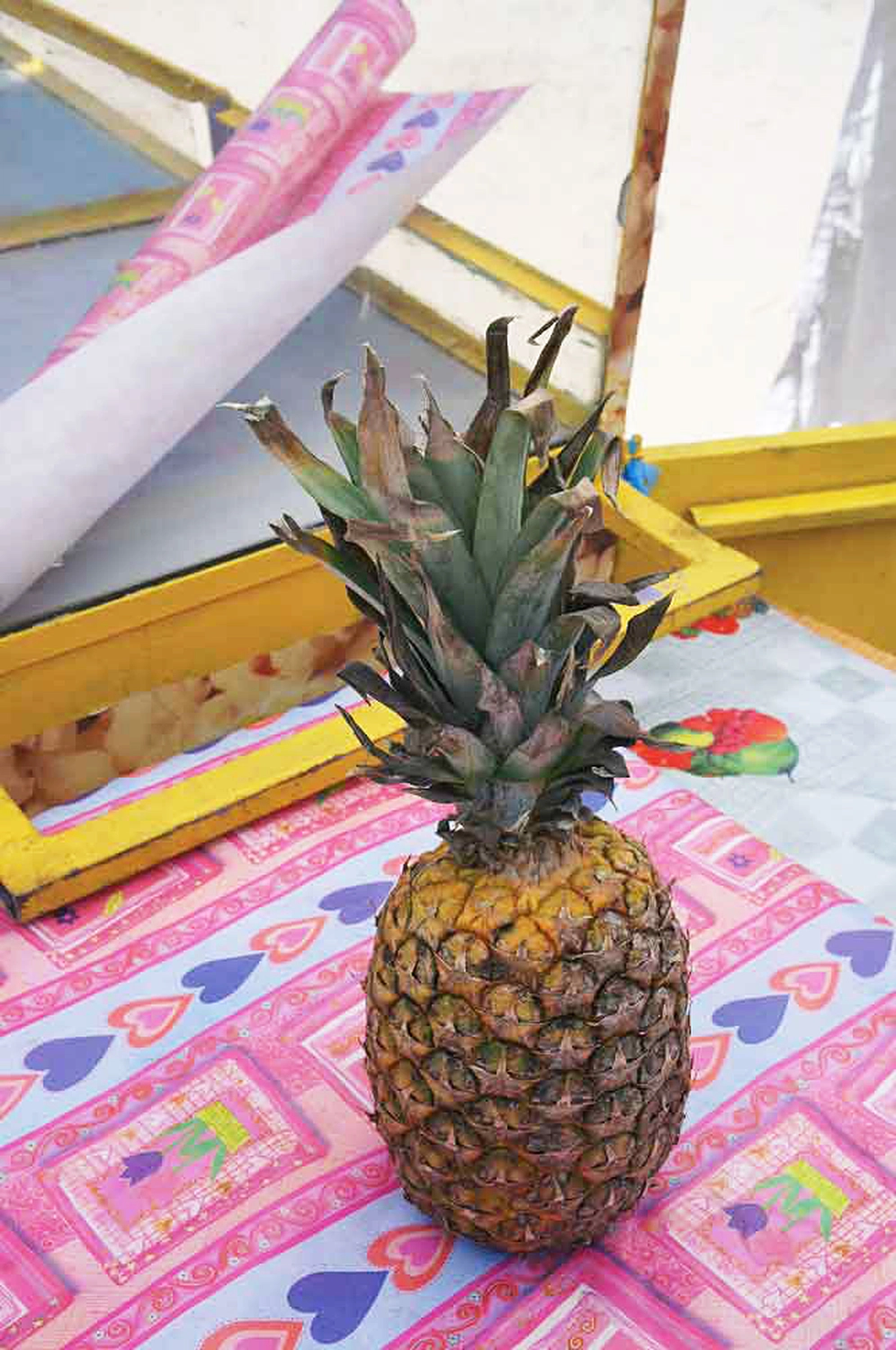 Jessica Backhaus - Fine Art Photography - Far away but close Photograph pineapple