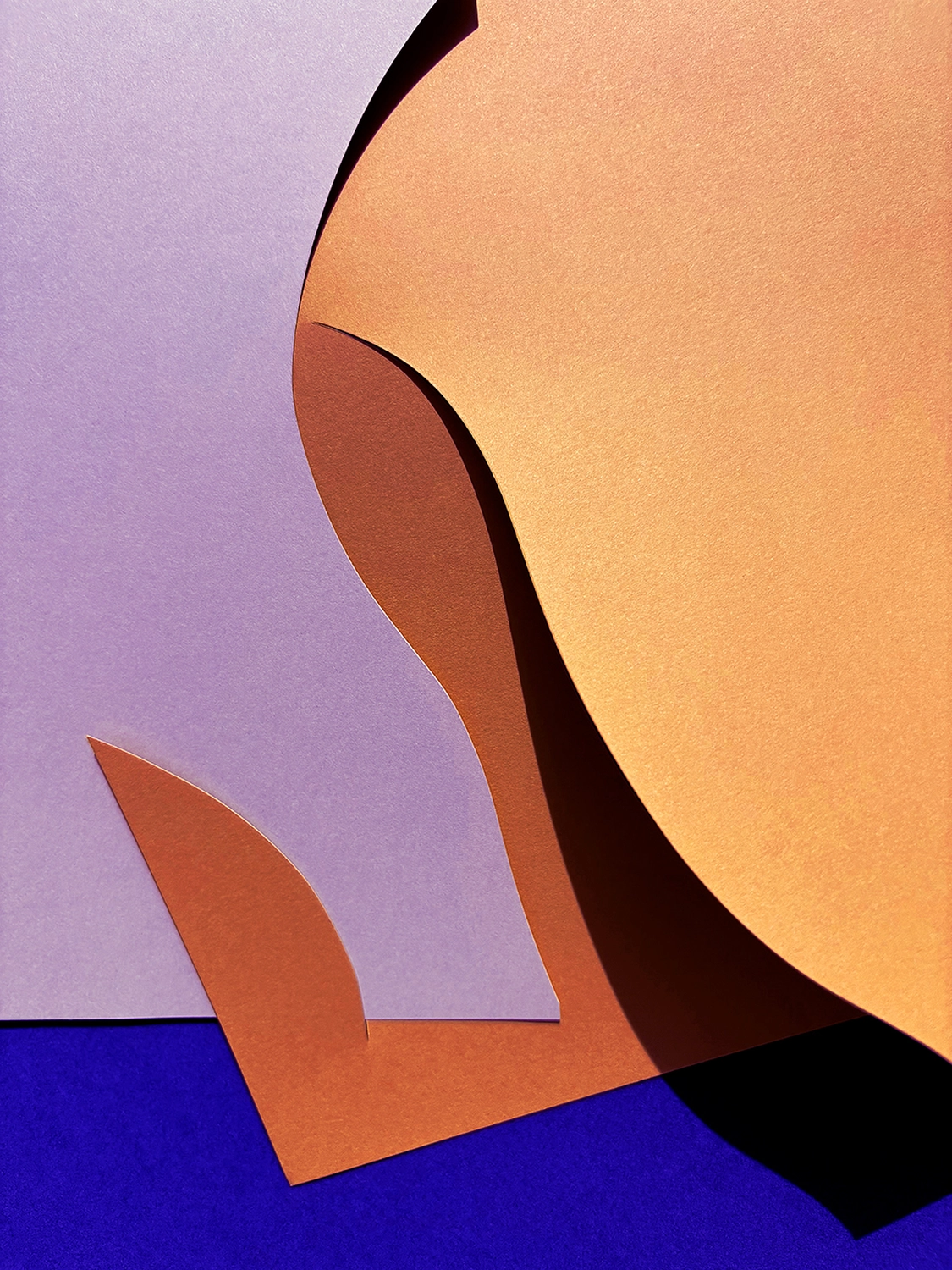 Jessica Backhaus - Fine Art Photography - Papyrus Photograph