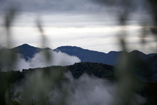 above the melody 2010