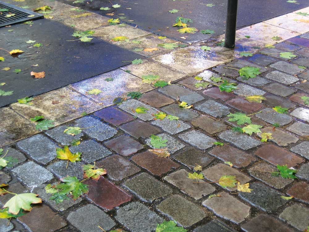 Autumn leaves in Paris 2004