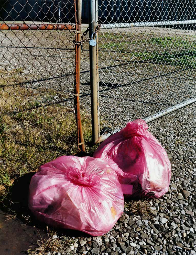 Twice in Redhook 2007