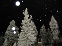 Snowtree 2008