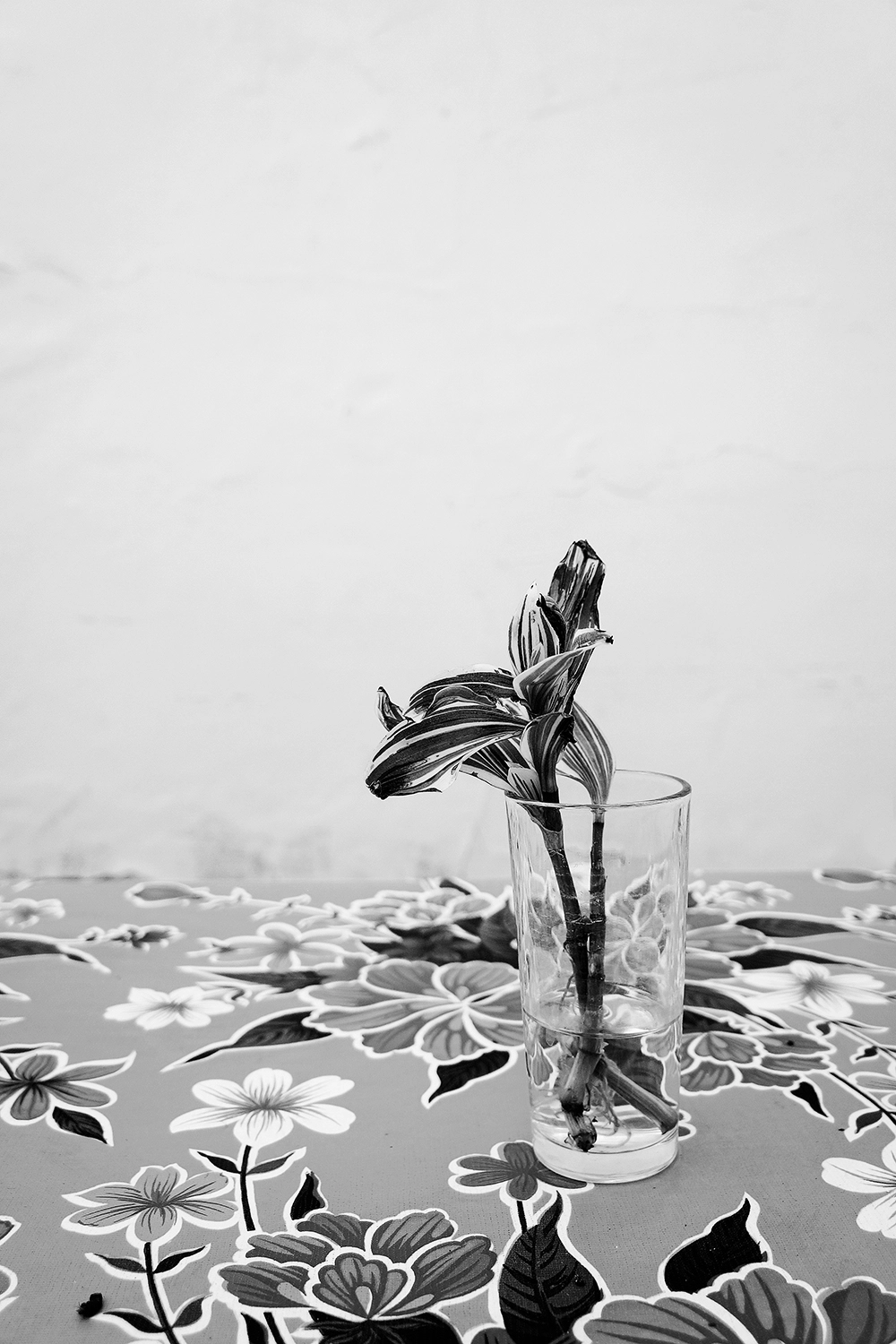 Jessica Backhaus - Fine Art Photography - Far away but close Photograph