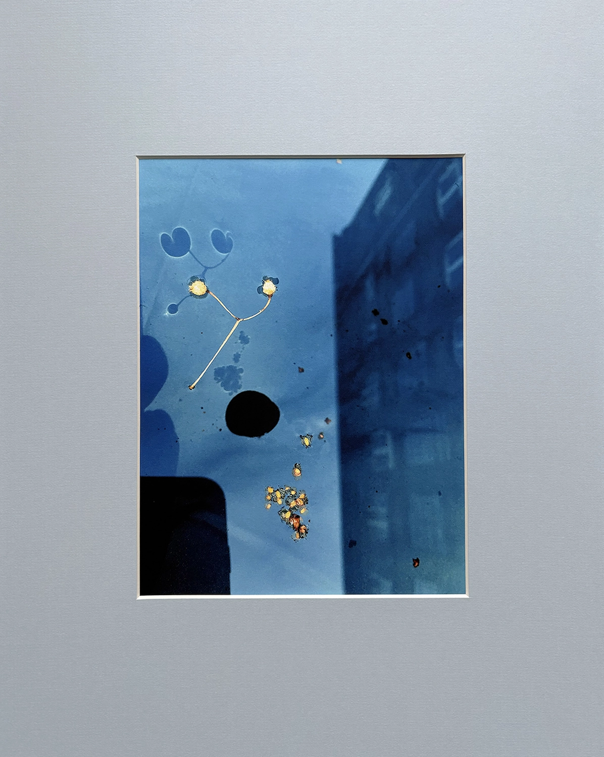 Jessica Backhaus - Fine Art Photography - The Nature of Things Photograph summer