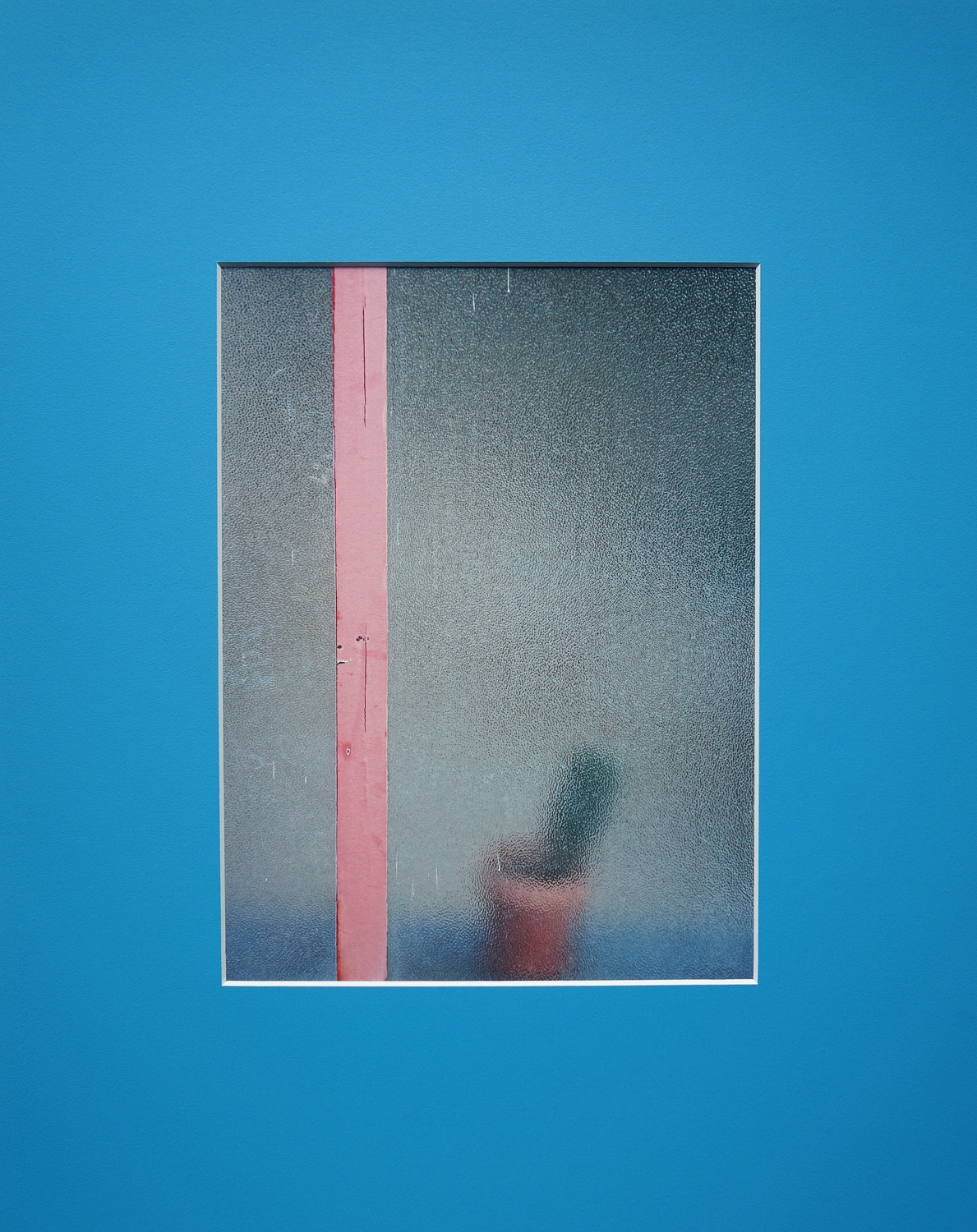 Jessica Backhaus - Fine Art Photography - The Nature of Things Photograph window
